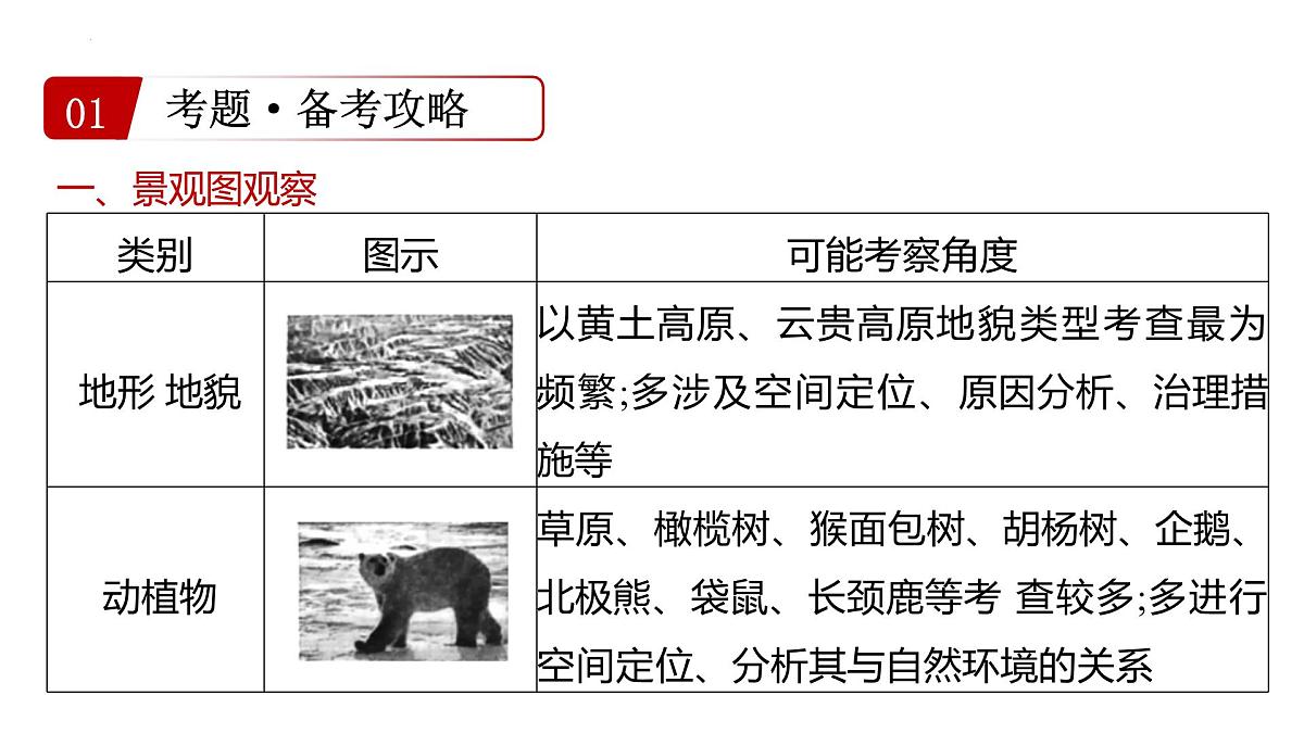 专题2++地理景观图+课件-2024-2025学年中考二轮复习第3页