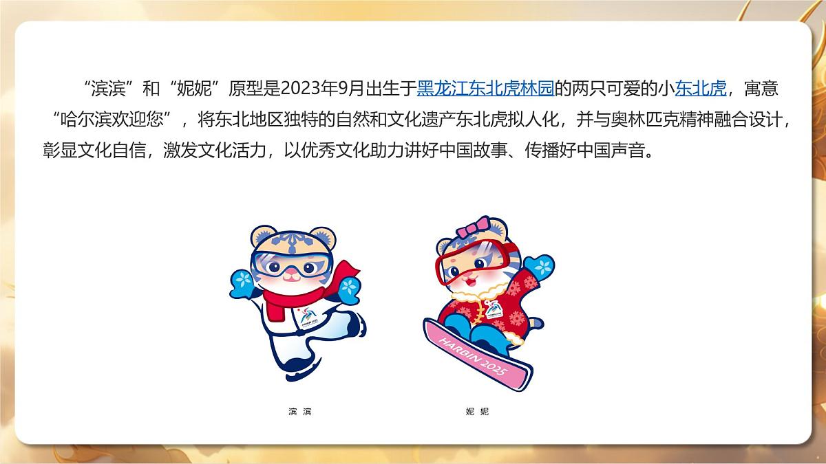 专题04+哈尔滨亚冬会与冰雪大世界（课件）-【中考必胜】2025中考地理热点聚焦第5页