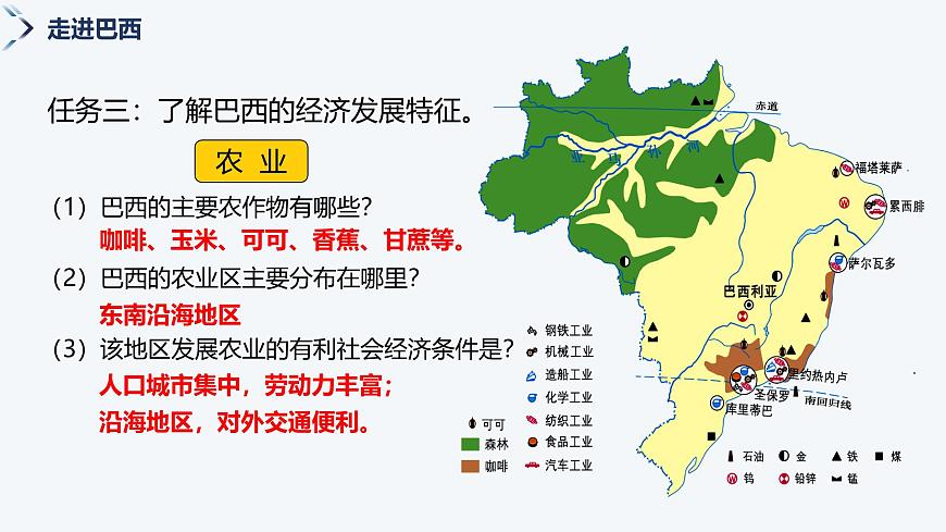 9.7巴西（第2课时）课件-2024-2025学年七年级地理下册湘教版第4页