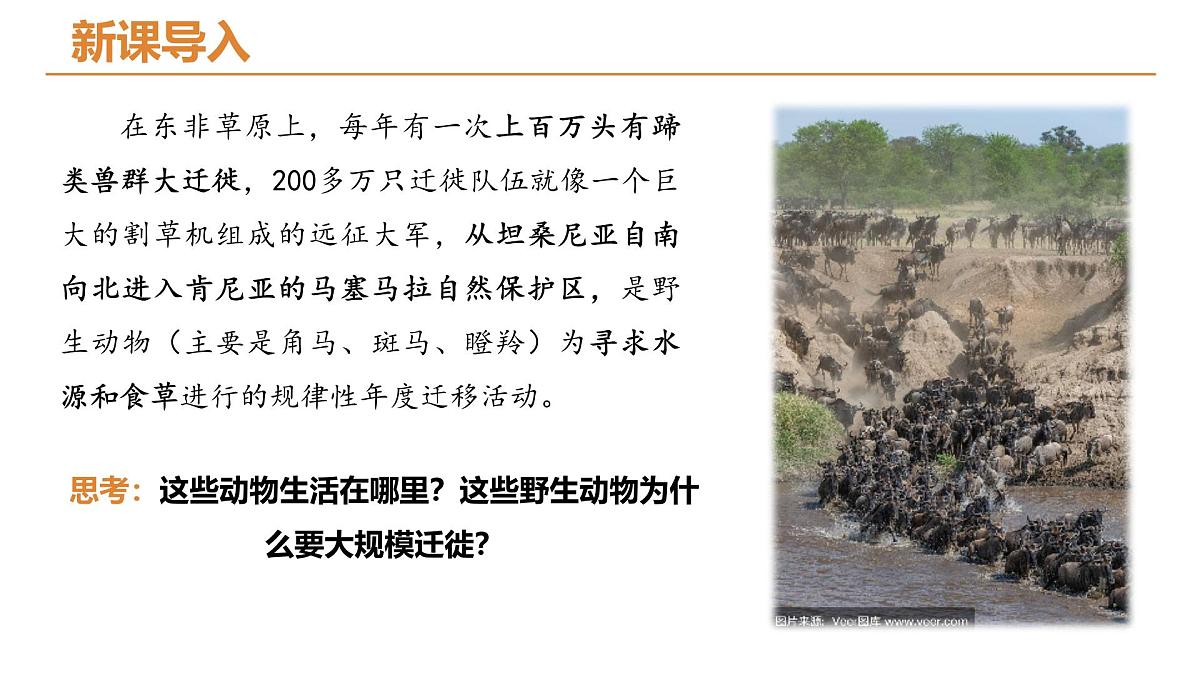 9.3.1撒哈拉以南非洲+课件-2024-2025学年人教版地理七年级下册第4页