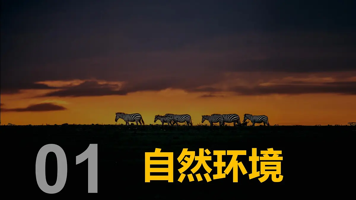 9.3撒哈拉以南非洲（第一课时）课件-2024-2025学年人教版地理七年级下册第4页