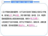 2024-2025學(xué)年七年級(jí)地理下冊(cè)（商務(wù)星球版2024）7.1　東南亞 第1課時(shí)　東方“十字路口”　多山的地形 課件