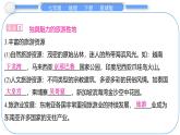 2024-2025學(xué)年七年級(jí)地理下冊(cè)（商務(wù)星球版2024）7.1　東南亞 第2課時(shí)　熱帶氣候與農(nóng)業(yè)　獨(dú)具魅力的旅游勝地 課件