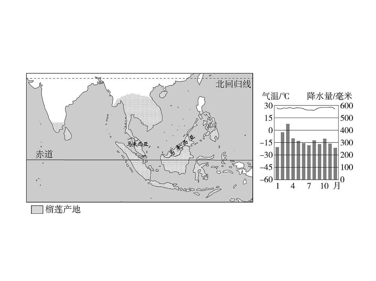 2024-2025学年七年级地理下册（商务星球版2024）7.1东南亚　热带气候与农业　独具魅力的旅游胜地习题课件第3页