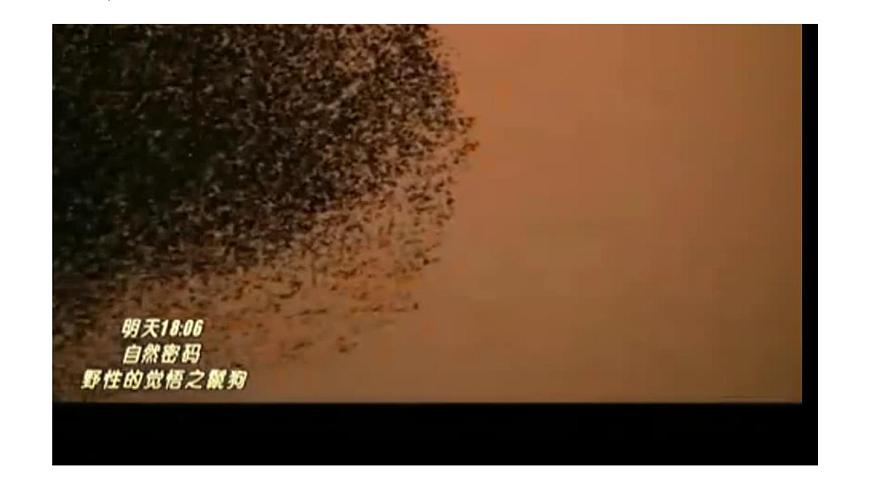 2024-2025学年七年级地理下册（商务星球版2024）7.4 撒哈拉以南非洲 课件第3页