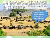 2024-2025學(xué)年七年級(jí)地理下冊(cè)（商務(wù)星球版2024）7.4撒哈拉以南非洲課件