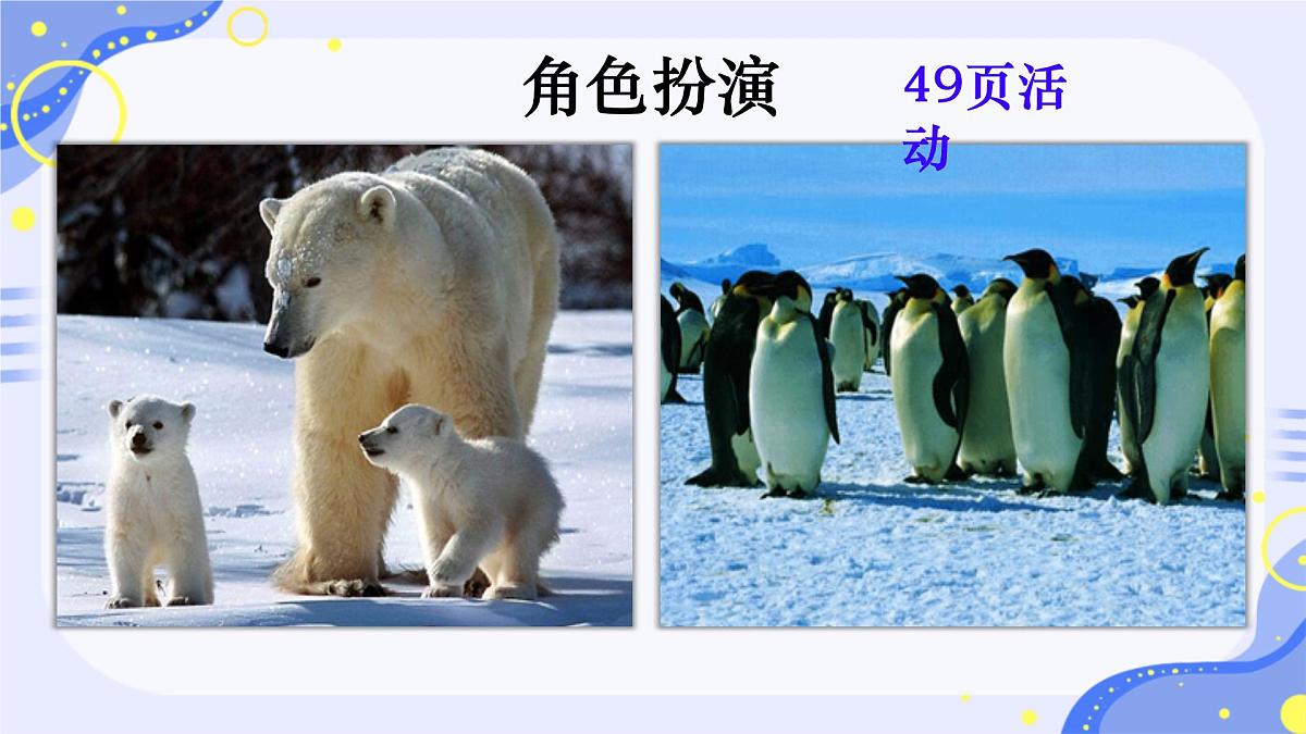 2024-2025学年七年级地理下册（商务星球版2024）7.5 南极地区和北极地区 课件第7页