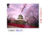 2024-2025學(xué)年七年級(jí)地理下冊(cè)（商務(wù)星球版2024）8.1日本（第1課時(shí)）課件