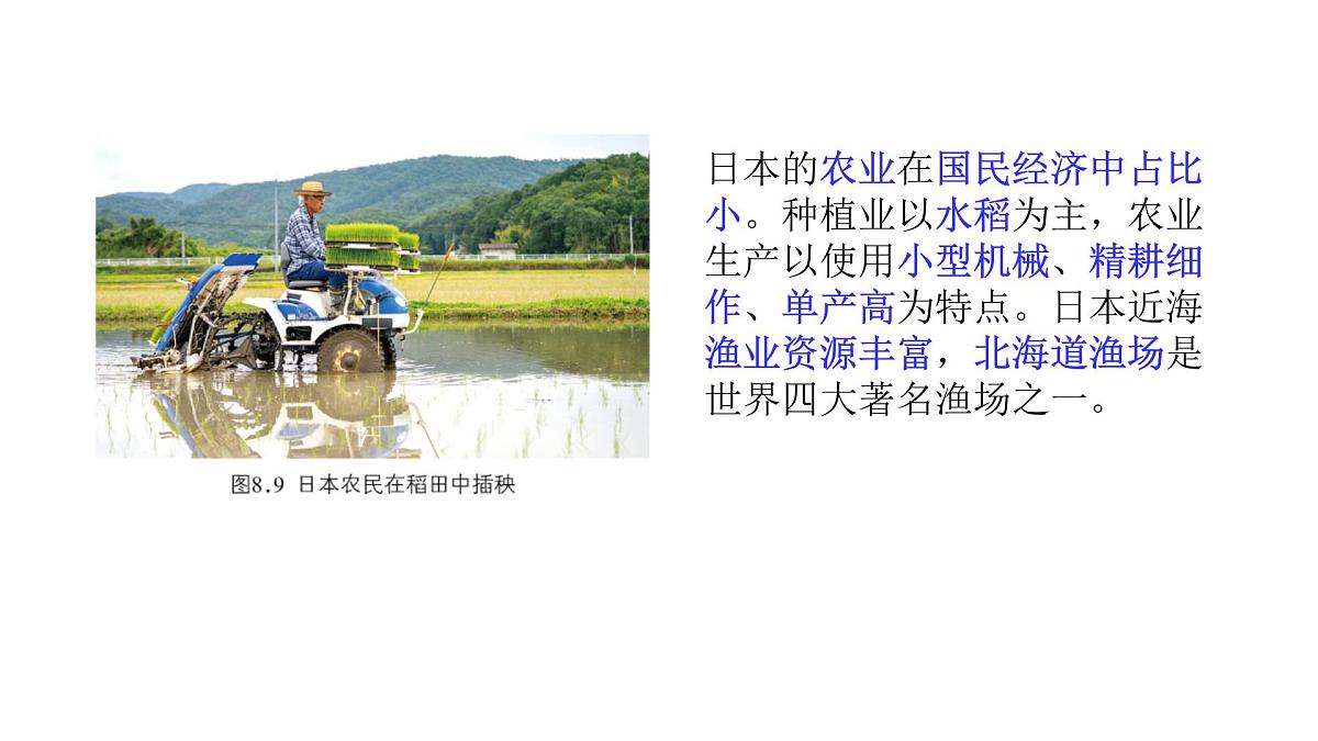 2024-2025学年七年级地理下册（商务星球版2024）8.1日本（第2课时）课件第5页