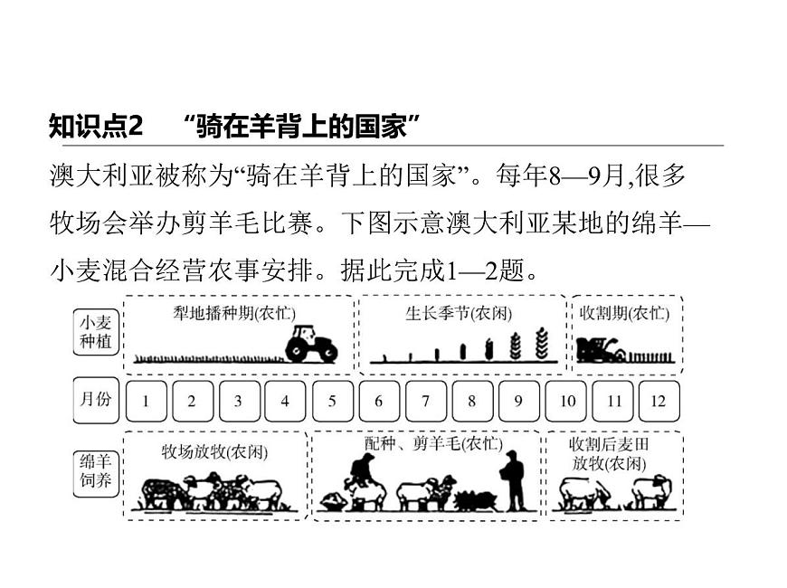2024-2025学年七年级地理下册（商务星球版2024）8.4澳大利亚　“骑在羊背上的国家”　“坐在矿车上的国家”习题课件第2页