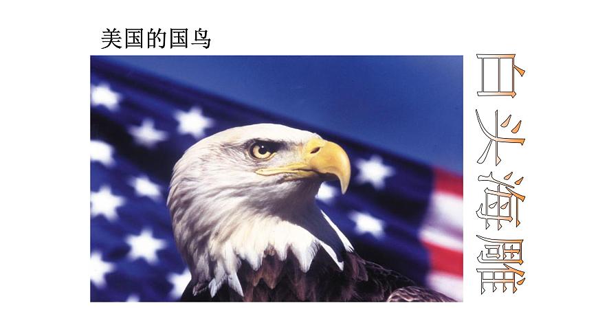 2024-2025学年七年级地理下册（商务星球版2024）8.5美国课件第4页