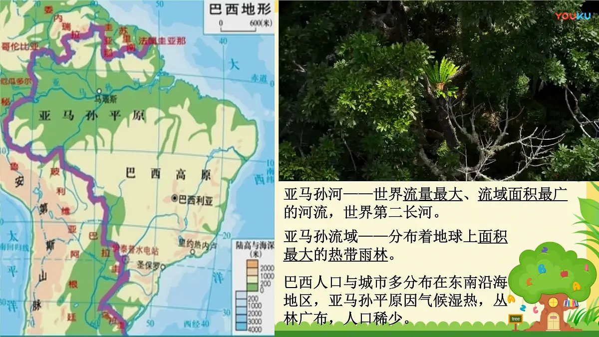 2024-2025学年七年级地理下册（商务星球版2024）8.6 巴西课件第8页