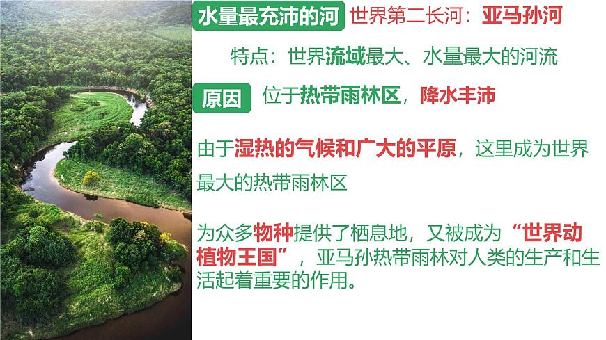 2024-2025学年七年级地理下册（商务星球版2024）8.6巴西课件第8页