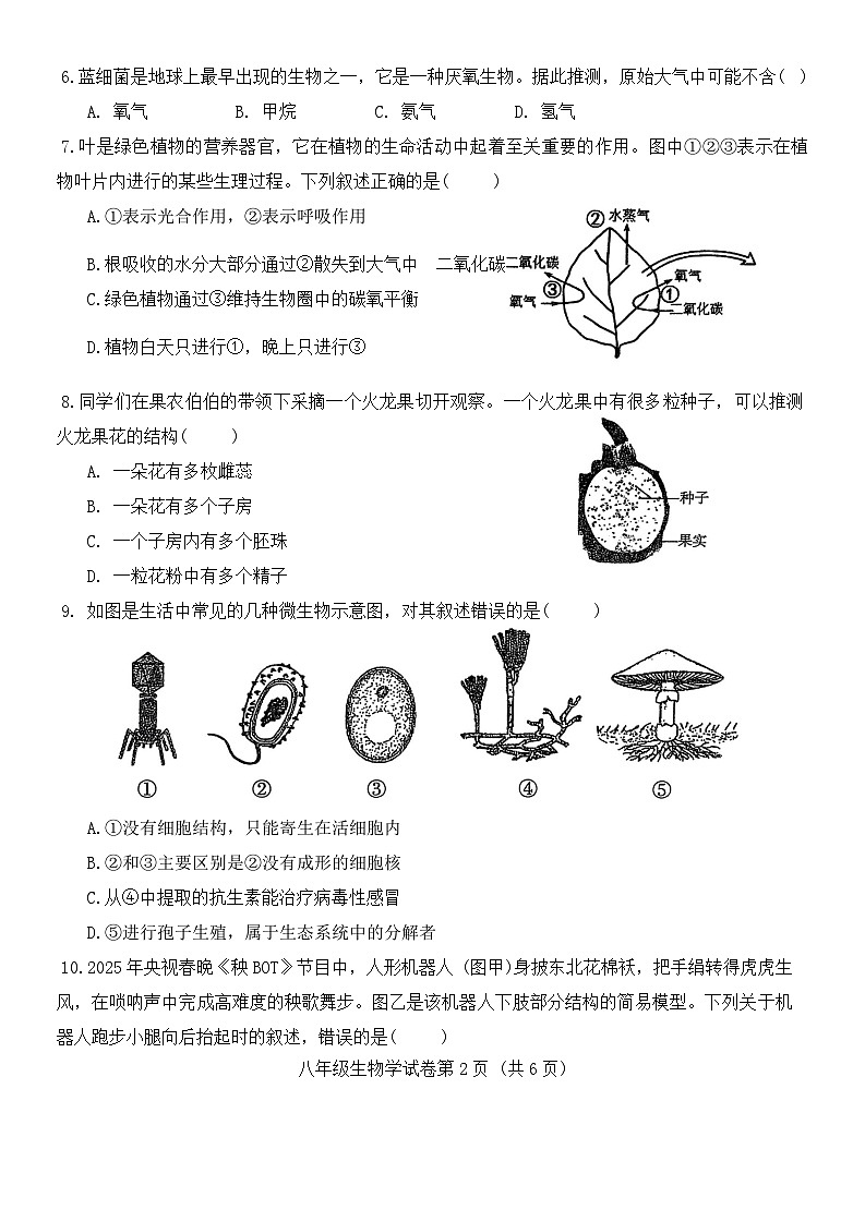 2025年辽宁省沈阳市于洪区中考二模地理与生物试题　（中考模拟）第2页
