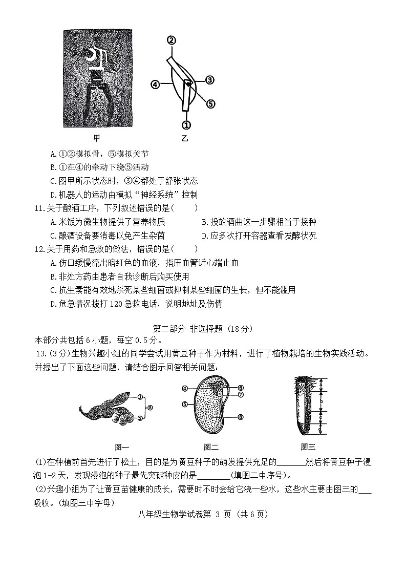2025年辽宁省沈阳市于洪区中考二模地理与生物试题　（中考模拟）第3页