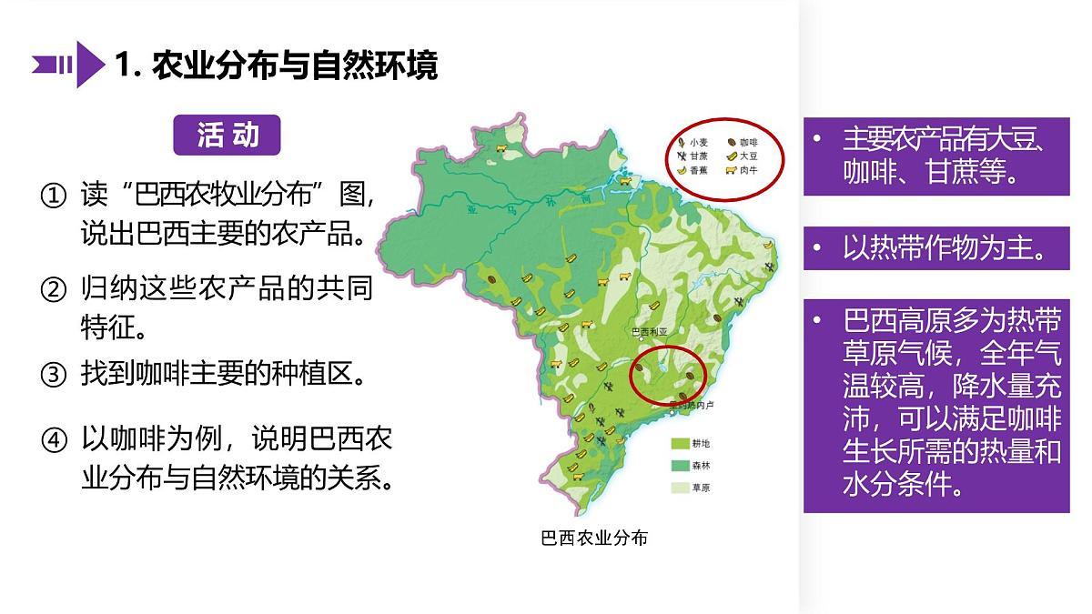 8.5 巴西（第2课时）（课件）-2024-2025学年七年级地理下册（中图版北京2024）第4页
