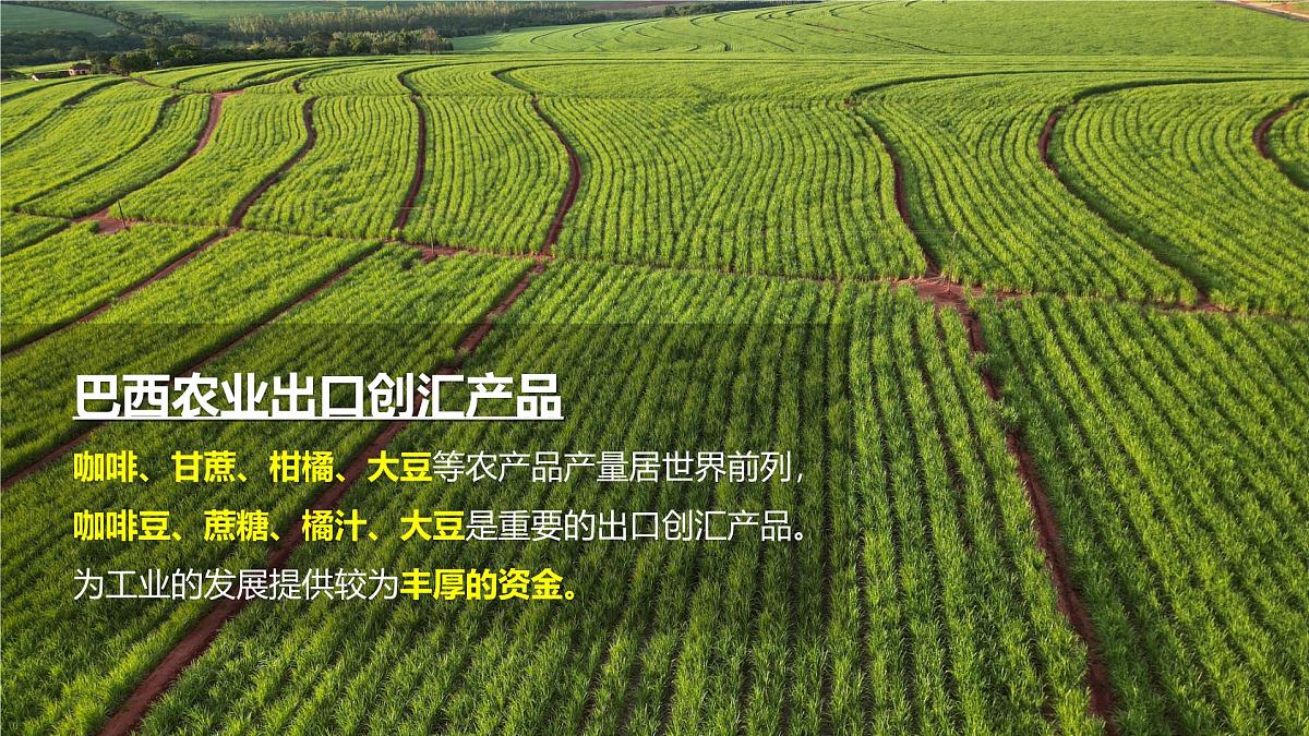 8.5 巴西（第2课时）（课件）-2024-2025学年七年级地理下册（中图版北京2024）第7页
