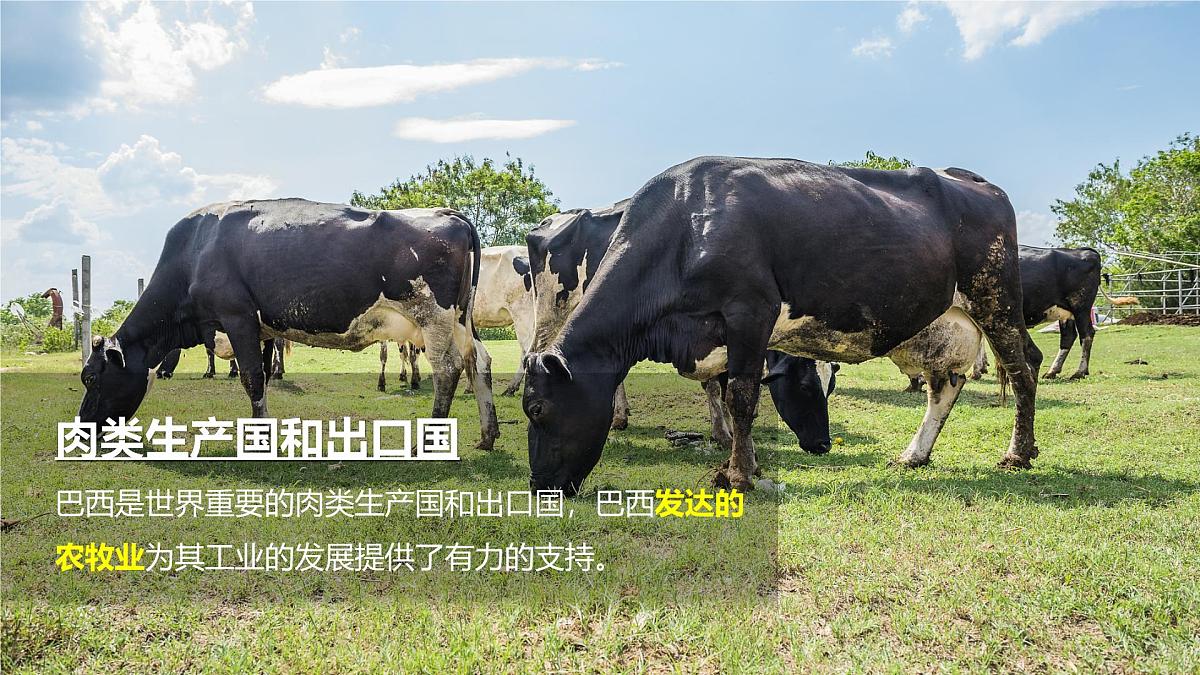 8.5 巴西（第2课时）（课件）-2024-2025学年七年级地理下册（中图版北京2024）第8页