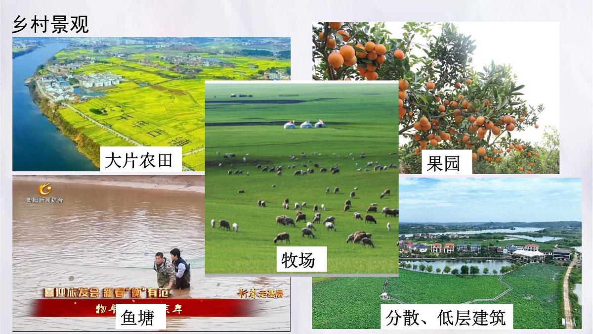 湘教版（2024年）地理七年级上册 4.2 世界的聚落 第一课时 课件第6页