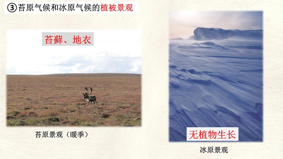 湘教版（2024年）地理七年级上册 5.4.3 世界主要气候类型 课件第7页