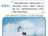 11.2 極地地區(qū)（第2課時(shí)）（課件）-2024-2025學(xué)年六年級(jí)地理下冊(cè)（魯教版五四學(xué)制2024）
