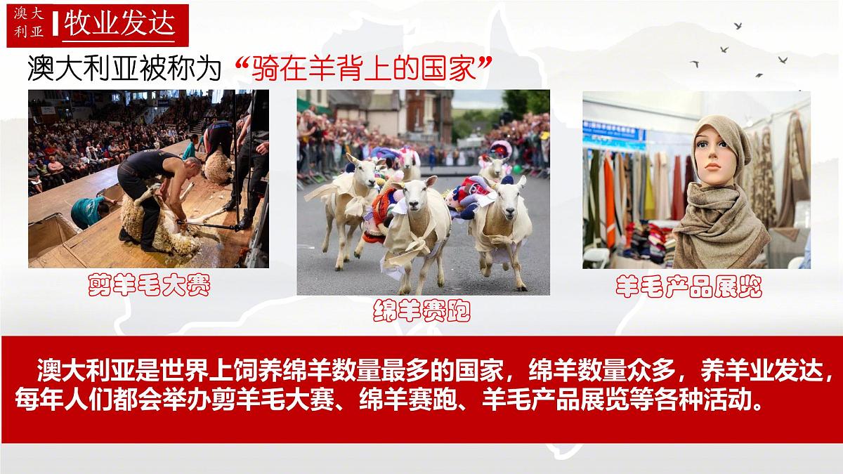 初中地理人教版（2024）七年级下册9.4 澳大利亚 课件第5页