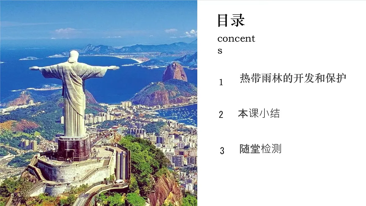 初中地理人教版（2024）七年级下册10.2 巴西（第二课时） 课件第4页