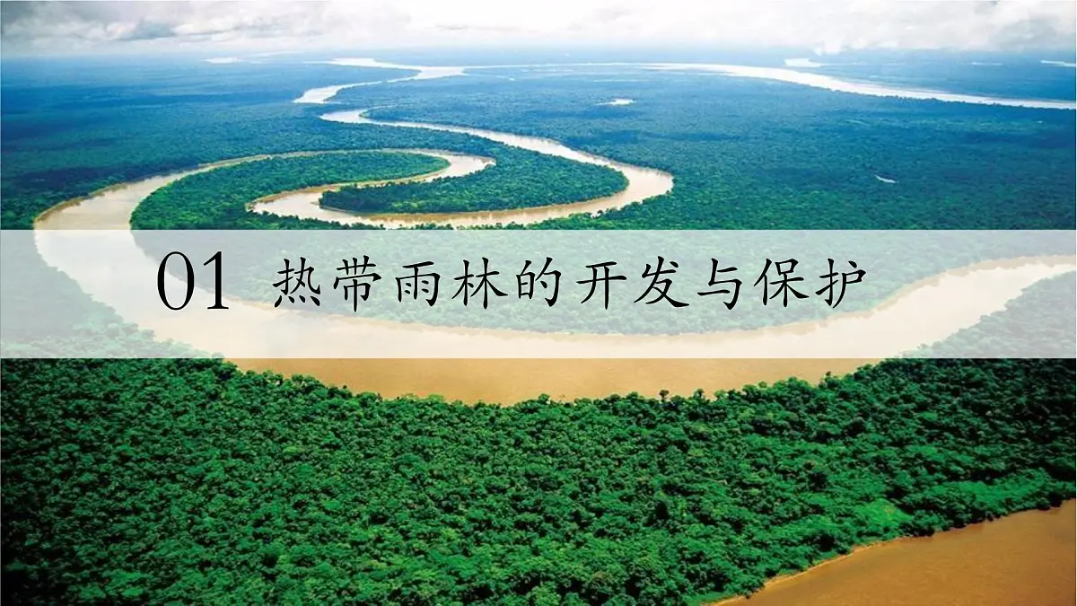 初中地理人教版（2024）七年级下册10.2 巴西（第二课时） 课件第5页