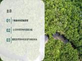 初中地理人教版（2024）七年級下冊【跨學(xué)科主題學(xué)習(xí)】探尋熱帶雨林的固碳功能 課件