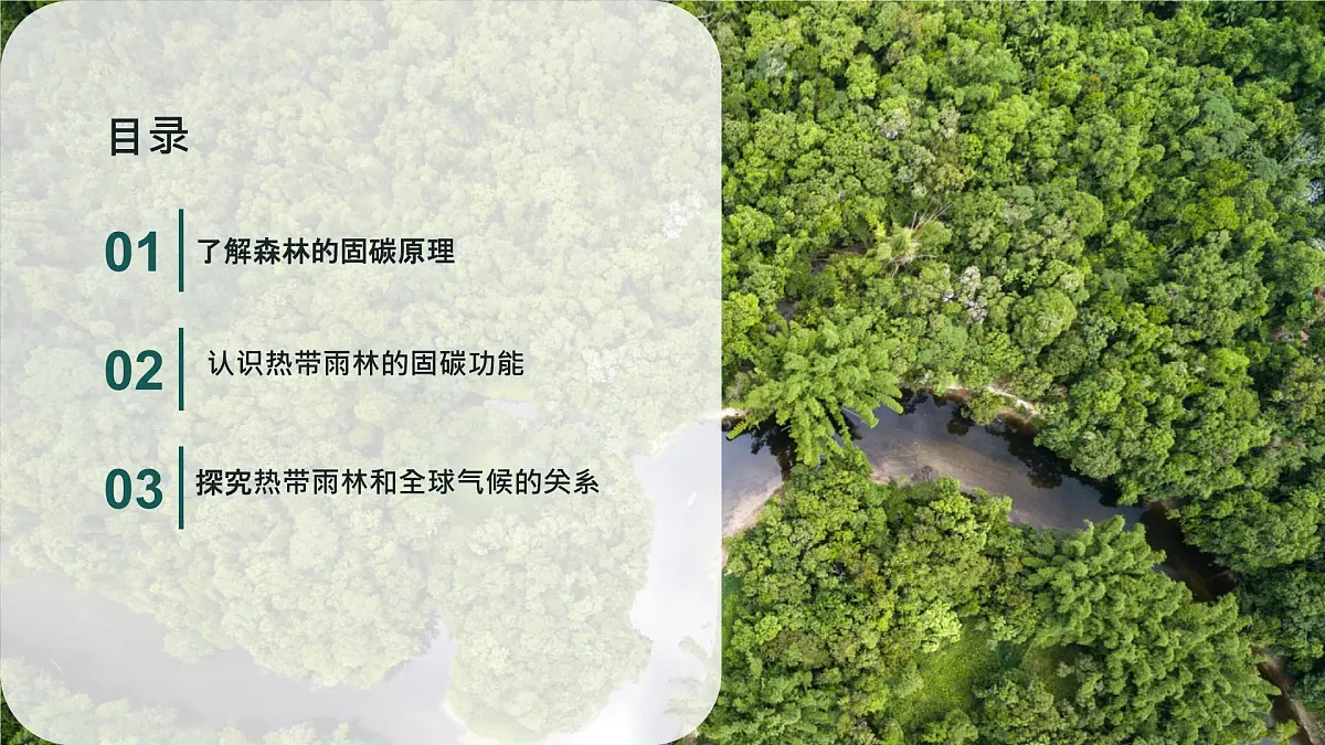 初中地理人教版（2024）七年级下册【跨学科主题学习】探寻热带雨林的固碳功能 课件第2页