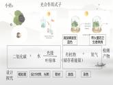 初中地理人教版（2024）七年級下冊【跨學(xué)科主題學(xué)習(xí)】探尋熱帶雨林的固碳功能 課件
