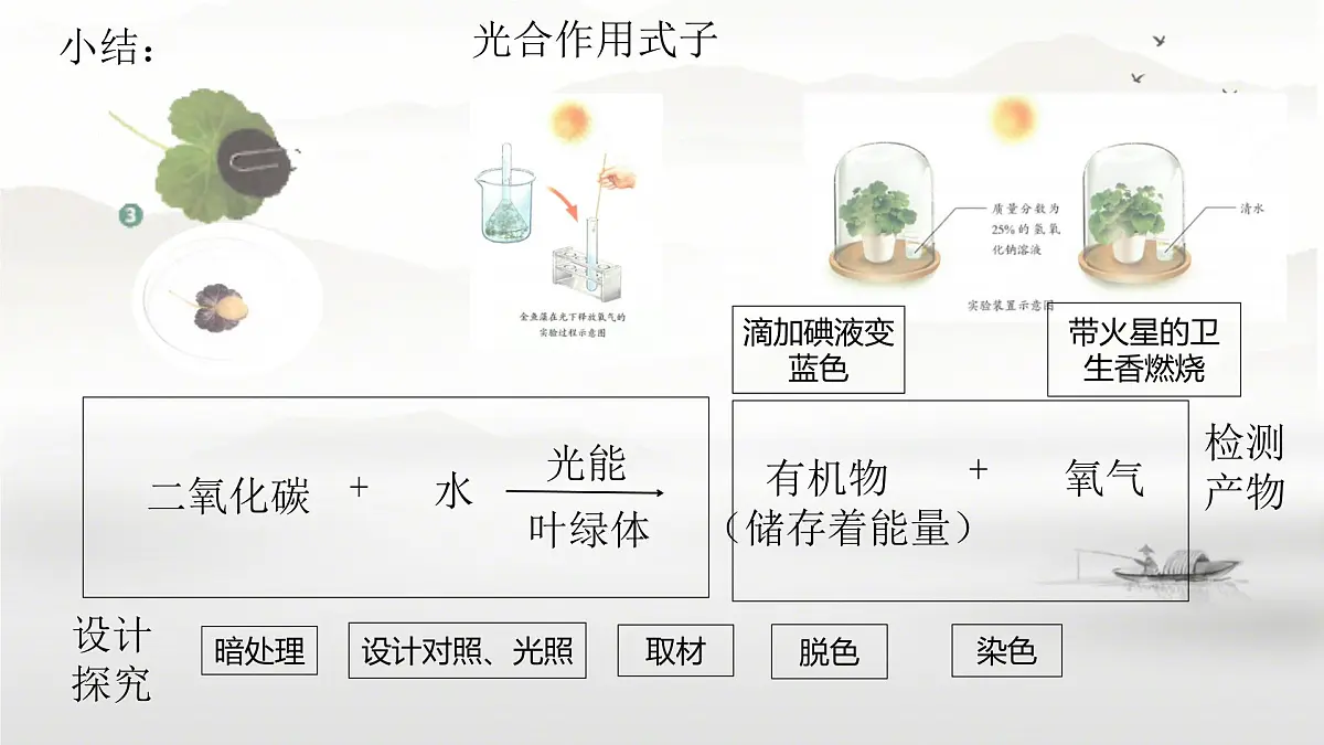 初中地理人教版（2024）七年级下册【跨学科主题学习】探寻热带雨林的固碳功能 课件第4页