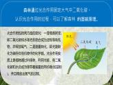 初中地理人教版（2024）七年級下冊【跨學(xué)科主題學(xué)習(xí)】探尋熱帶雨林的固碳功能 課件