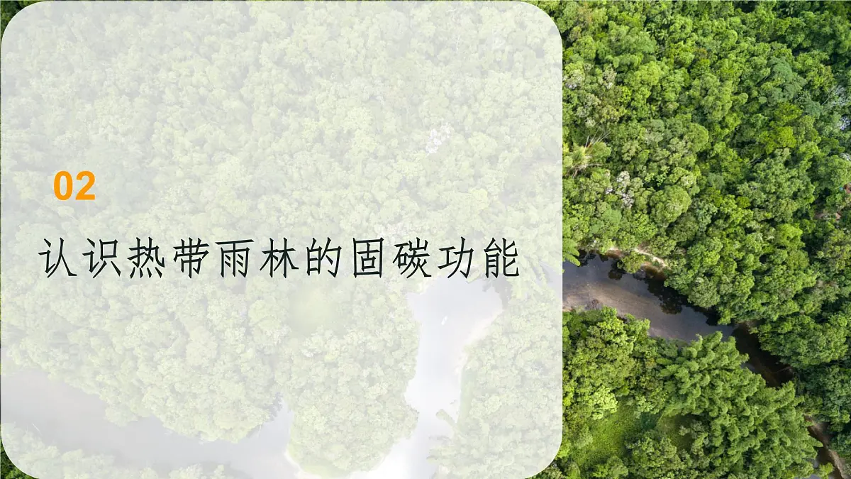 初中地理人教版（2024）七年级下册【跨学科主题学习】探寻热带雨林的固碳功能 课件第7页
