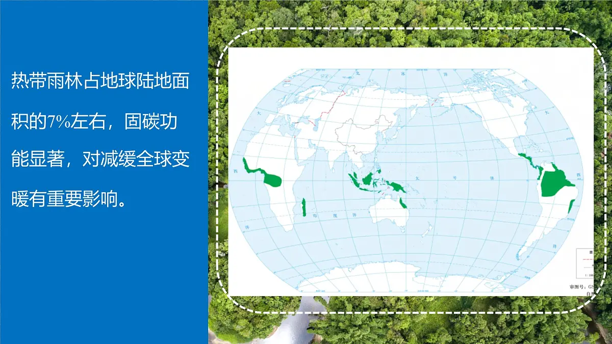 初中地理人教版（2024）七年级下册【跨学科主题学习】探寻热带雨林的固碳功能 课件第8页