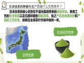 初中地理湘教版（2024）七年級下冊9.1 日本 課件