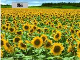 初中地理湘教版（2024）七年級(jí)下冊(cè)9.3 俄羅斯 課件