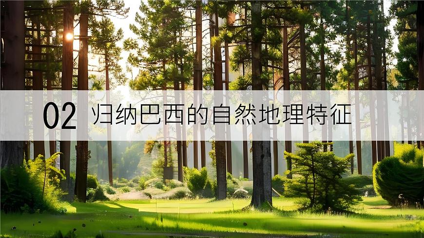 初中 地理 湘教版（2024）七年级下册探究与实践 走进巴西 课件第6页