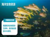初中地理中圖版（2024）七年級下冊5.4 海洋資源 課件