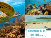 初中地理中圖版（2024）七年級下冊5.4 海洋資源 課件