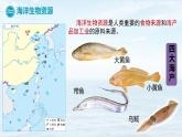 初中地理中圖版（2024）七年級下冊5.4 海洋資源 課件
