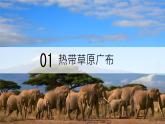 初中地理 魯教版（五四學(xué)制）（2024）六年級(jí)下冊(cè)9.3 撒哈拉以南非洲 課件