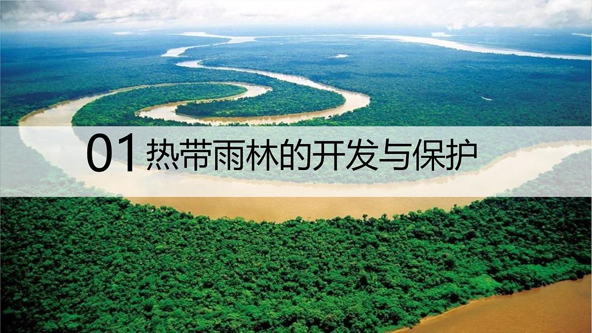 10.2 巴西（第二课时） 课件-2024-2025学年人教版地理七年级下册第6页