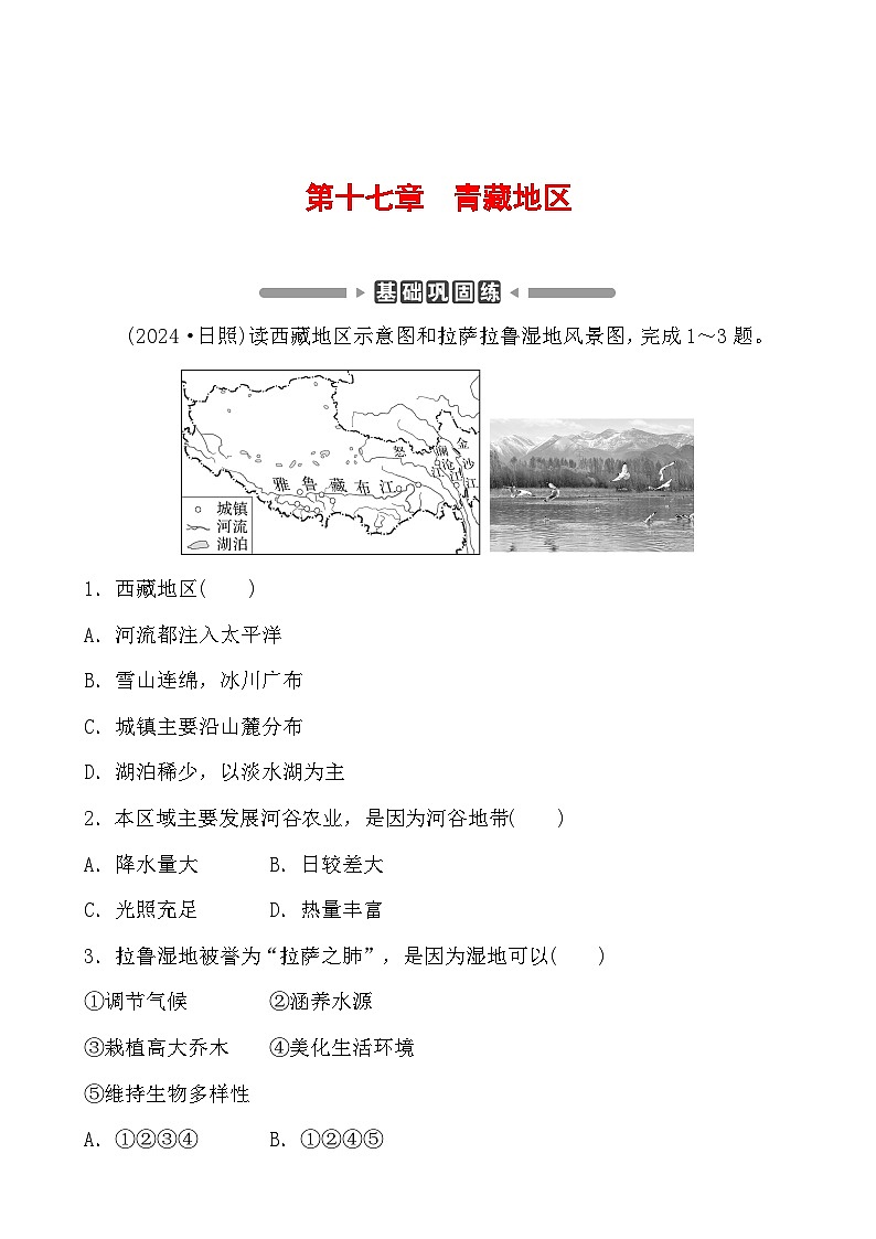 第十七章 青藏地区 分层练（含答案）2025年中考地理专题复习第1页