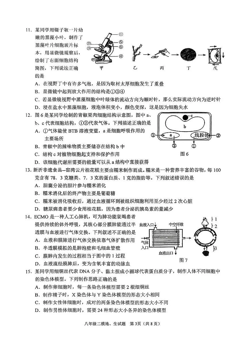 2025年八年级第二次模拟考试第3页