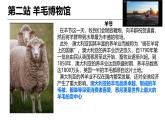 初中地理人教版七年級(jí)下冊(cè)第九章課件 9.4.2澳大利亞