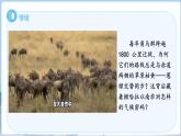 第三節(jié) 撒哈拉以南非洲（第1課時(shí)）課件 地理人教版（2024）七年級下冊第九章