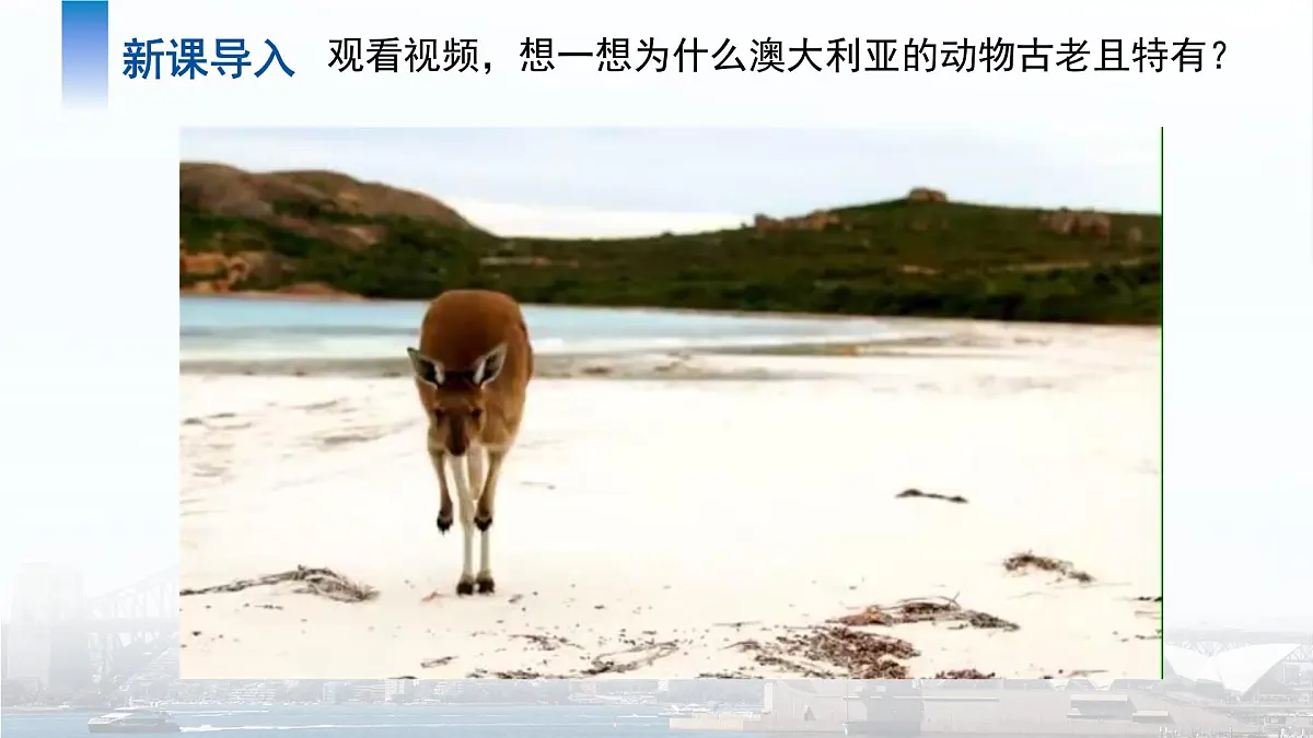 第四节 澳大利亚（第1课时）课件 地理人教版（2024）七年级下册第九章第3页