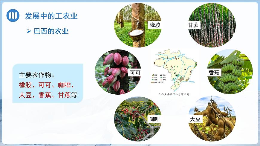 第六节 巴西（第2课时）课件 地理商务星球版（2024）七年级下册第八章第5页