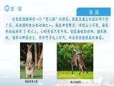 第六節(jié) 澳大利亞 課件 地理人教版（2024）七年級(jí)下冊(cè)第九章